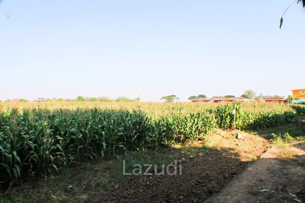 Good location Land for Sale