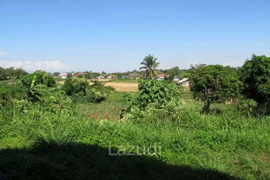 Vacation Getaway on 2 Rai Wiang Chai