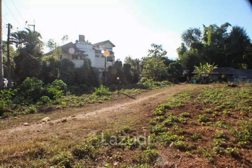 Land for Sale in Mae Fa Luang