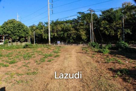 Land for Sale in Mae Fa Luang