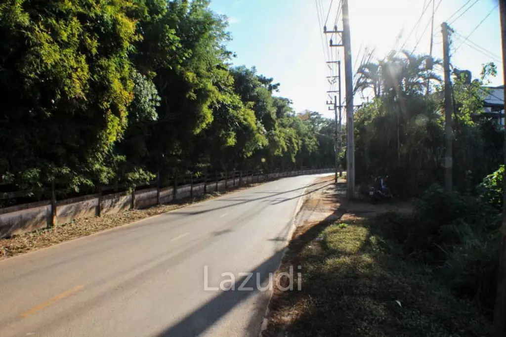 Land for Sale in Mae Fa Luang