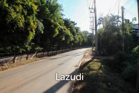 Land for Sale in Mae Fa Luang