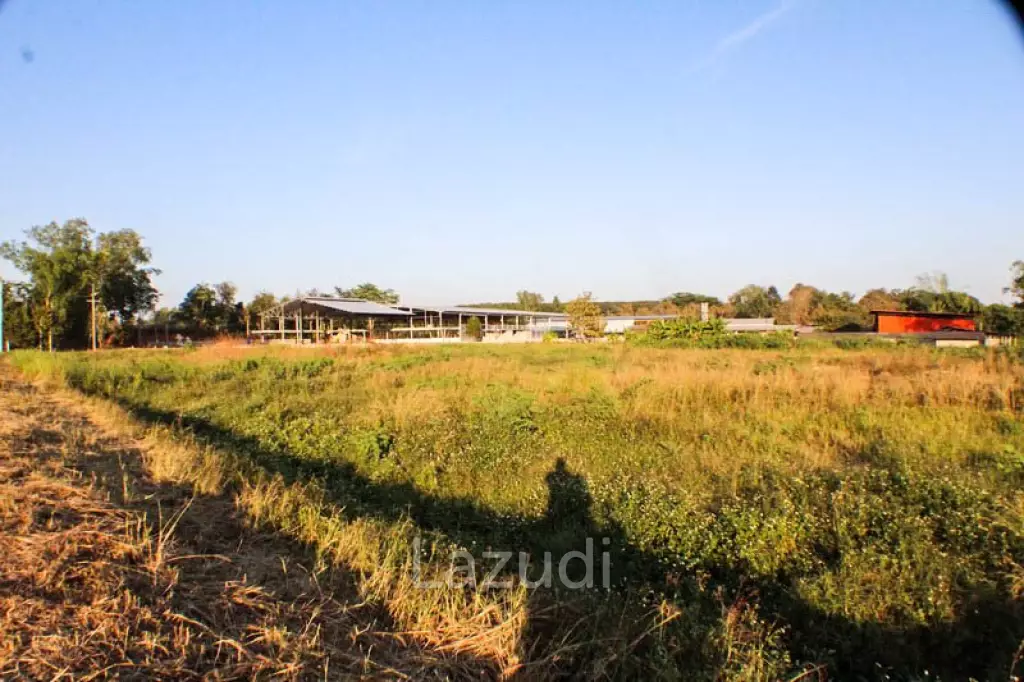 Land for Sale 8 Rai
