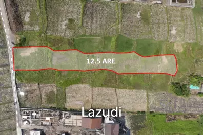 COASTAL CHARM: A CAPTIVATING RESIDENTIAL LAND IN SESEH