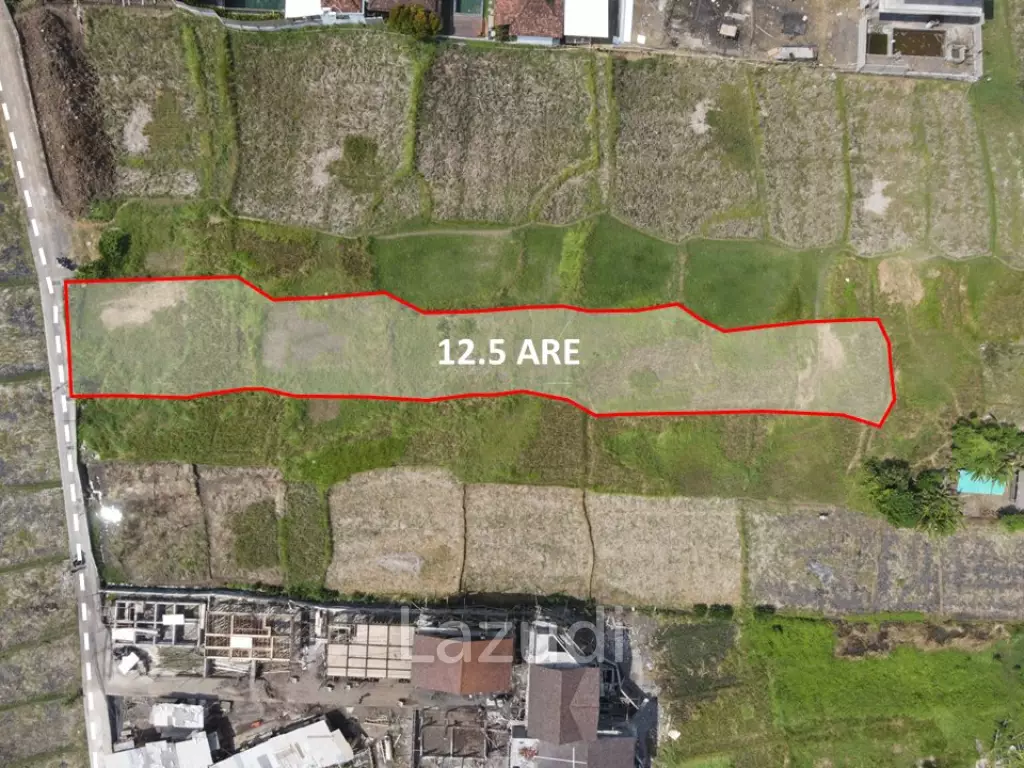 COASTAL CHARM: A CAPTIVATING RESIDENTIAL LAND IN SESEH