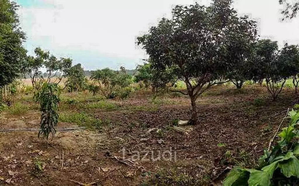House for Sale in Wiang Pa Pao