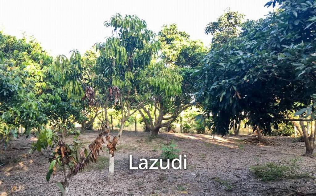 House for Sale in Wiang Pa Pao