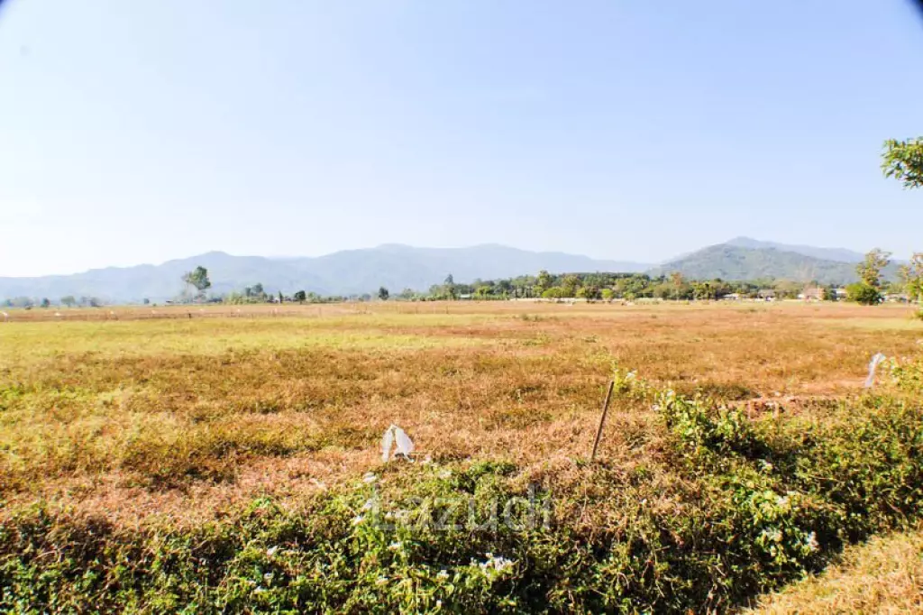 Land for Sale Suitable for a Resort