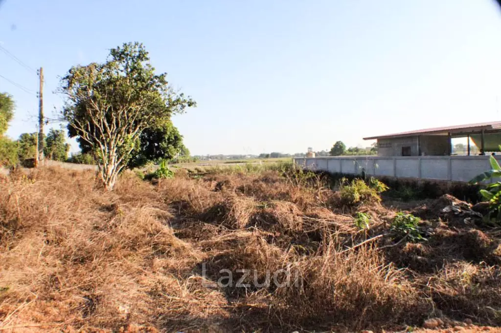 Sprawling Freehold Land in Chiang Rai Rural Greenhaven