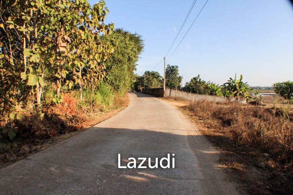 Sprawling Freehold Land in Chiang Rai Rural Greenhaven