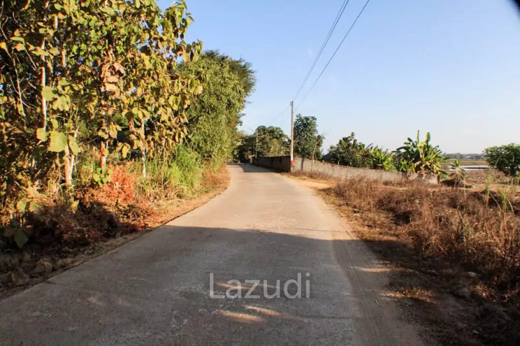 Sprawling Freehold Land in Chiang Rai Rural Greenhaven
