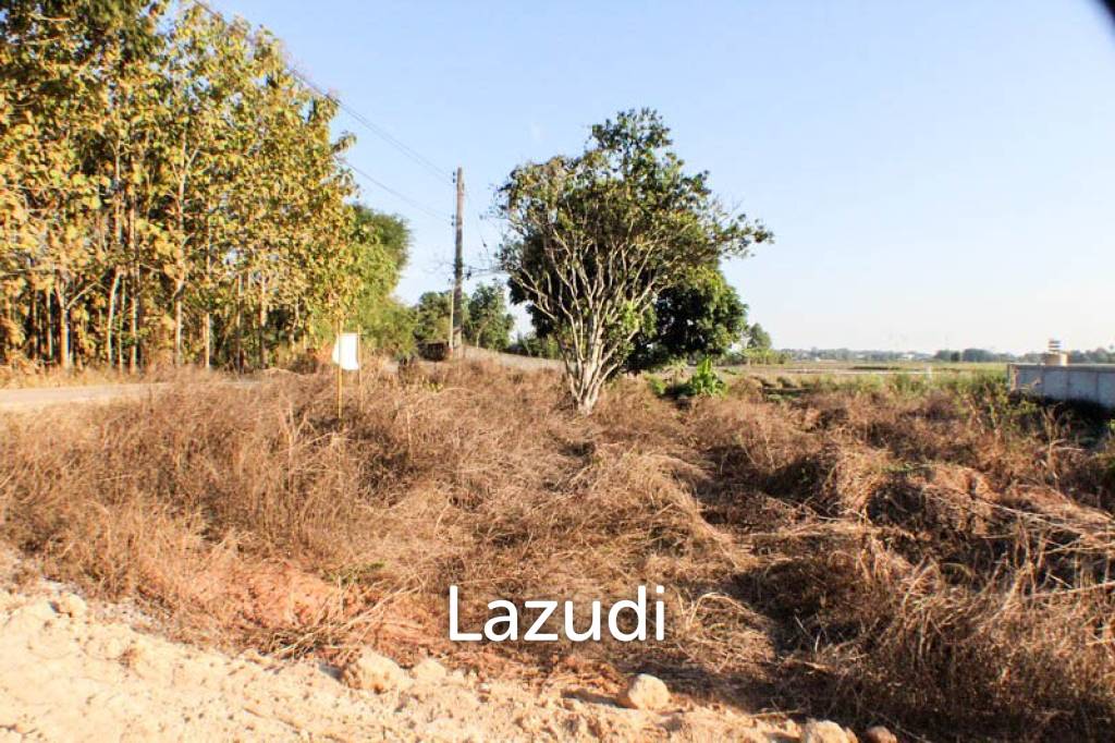 Sprawling Freehold Land in Chiang Rai Rural Greenhaven