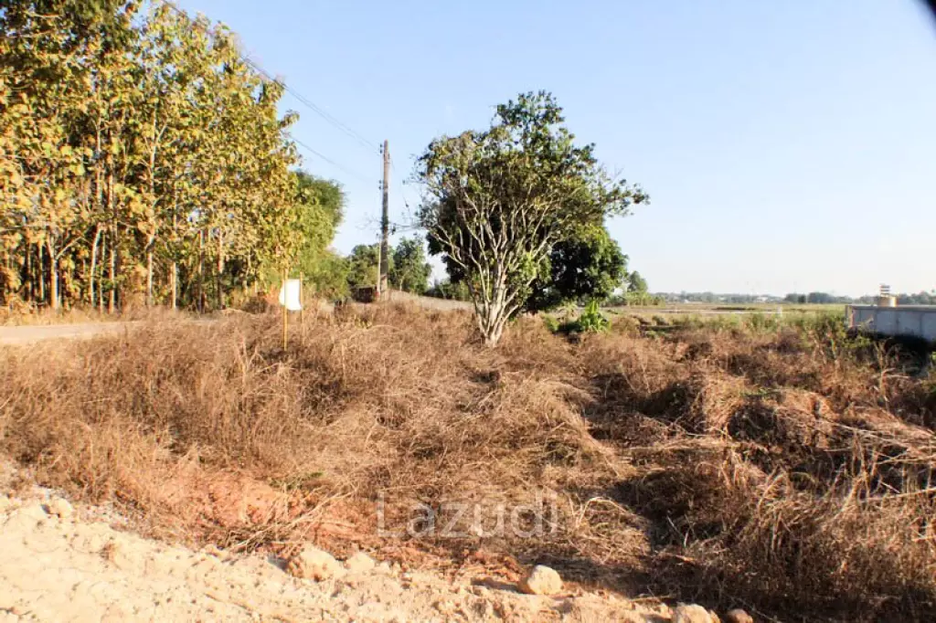Sprawling Freehold Land in Chiang Rai Rural Greenhaven