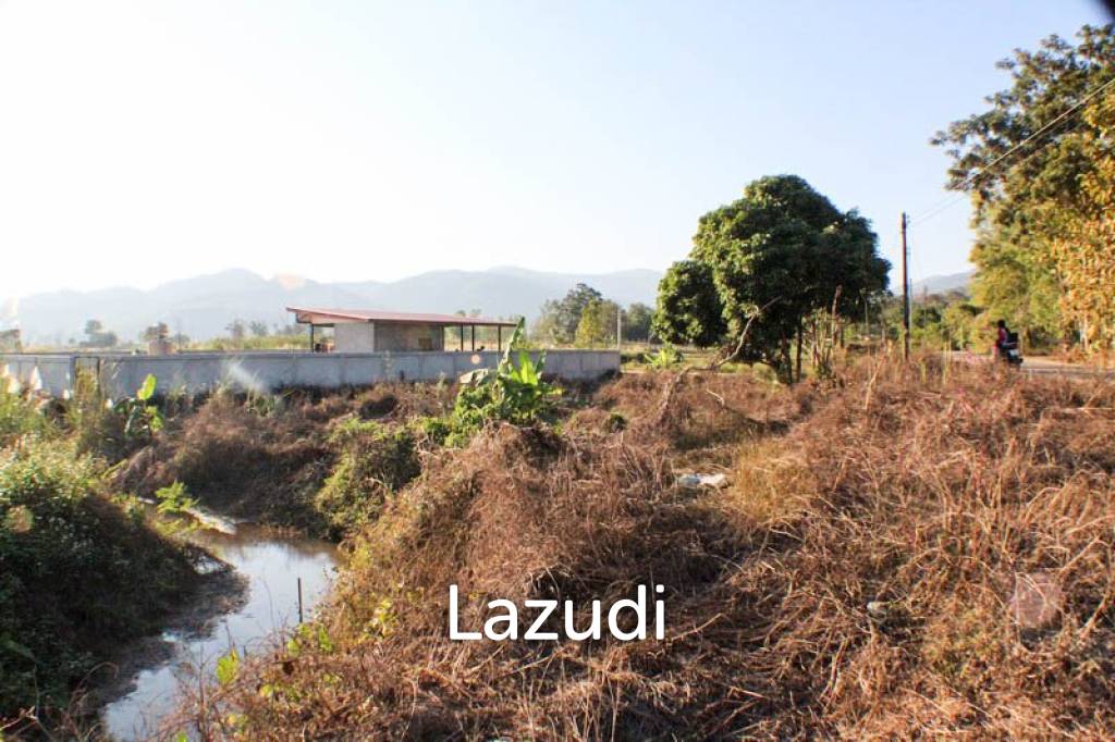 Sprawling Freehold Land in Chiang Rai Rural Greenhaven