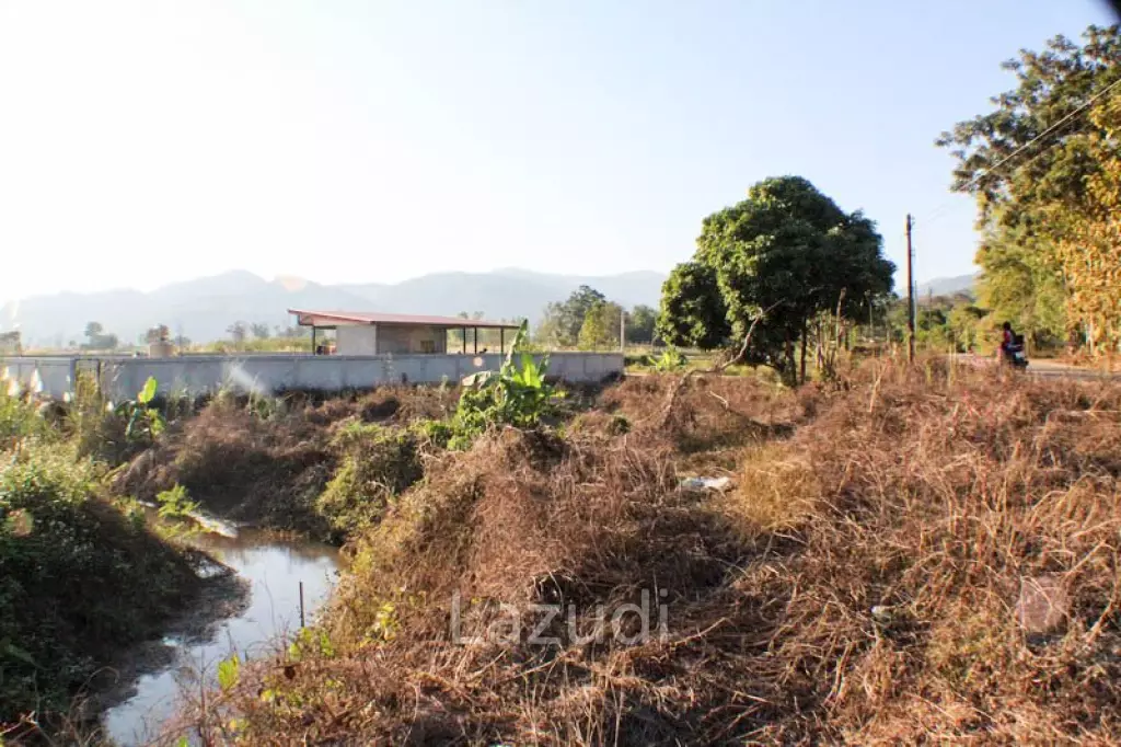 Sprawling Freehold Land in Chiang Rai Rural Greenhaven