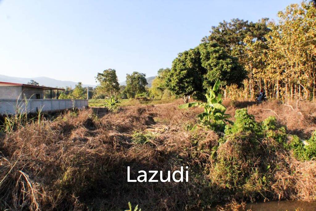 Sprawling Freehold Land in Chiang Rai Rural Greenhaven