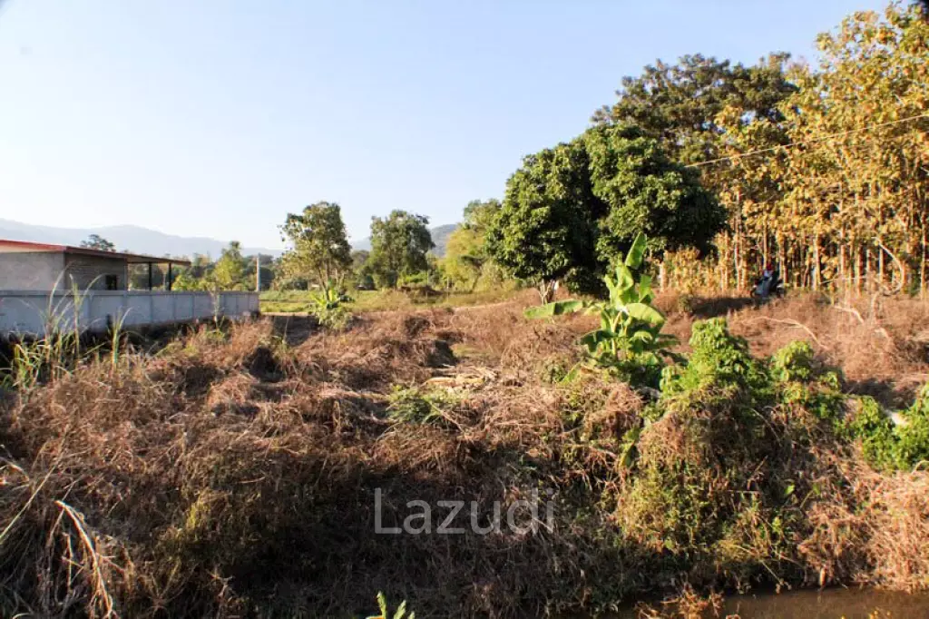 Sprawling Freehold Land in Chiang Rai Rural Greenhaven