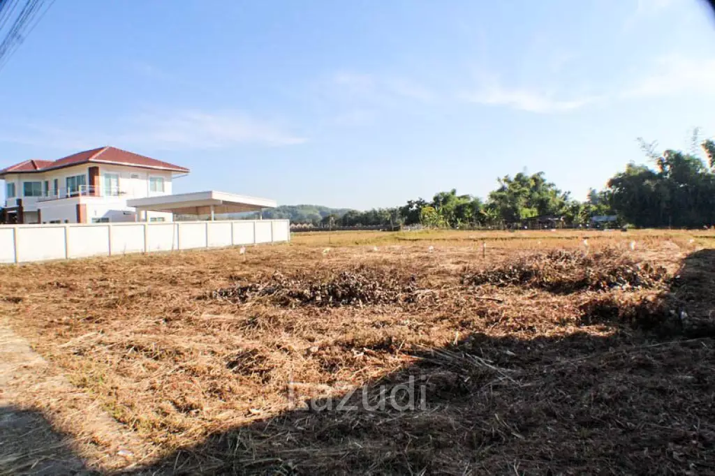Land for Sale in Mae Fa Luang