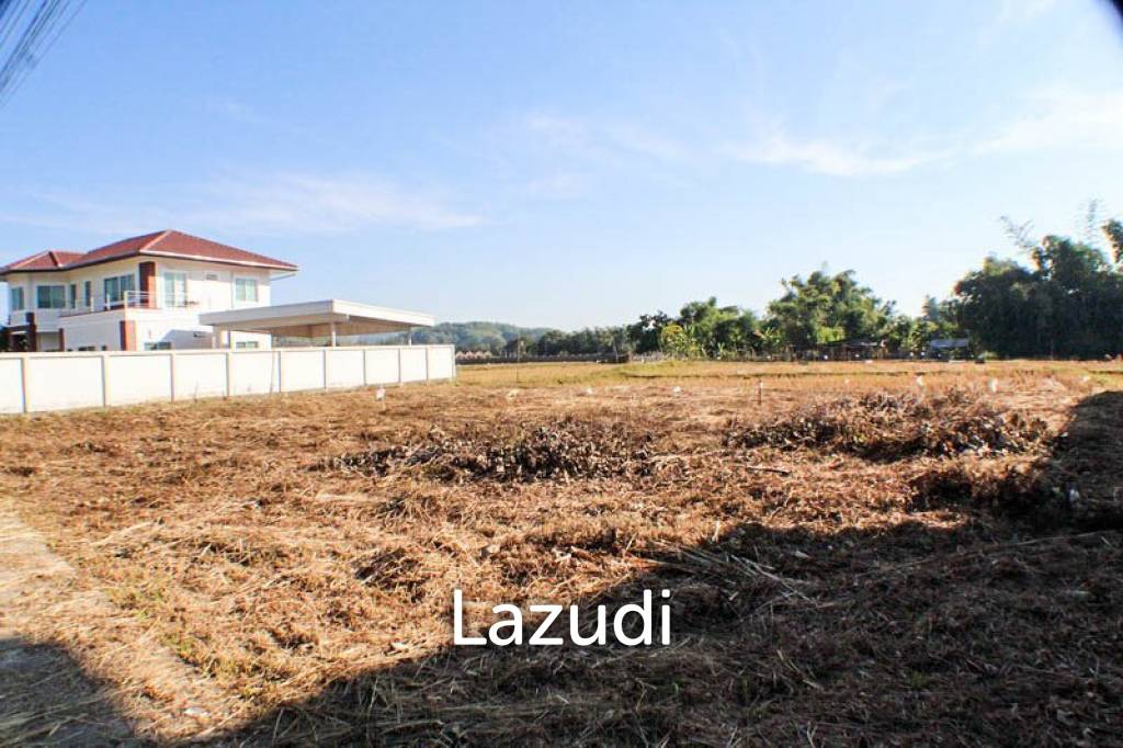 Land for Sale in Mae Fa Luang