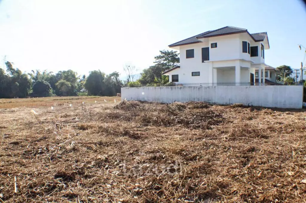 Land for Sale in Mae Fa Luang