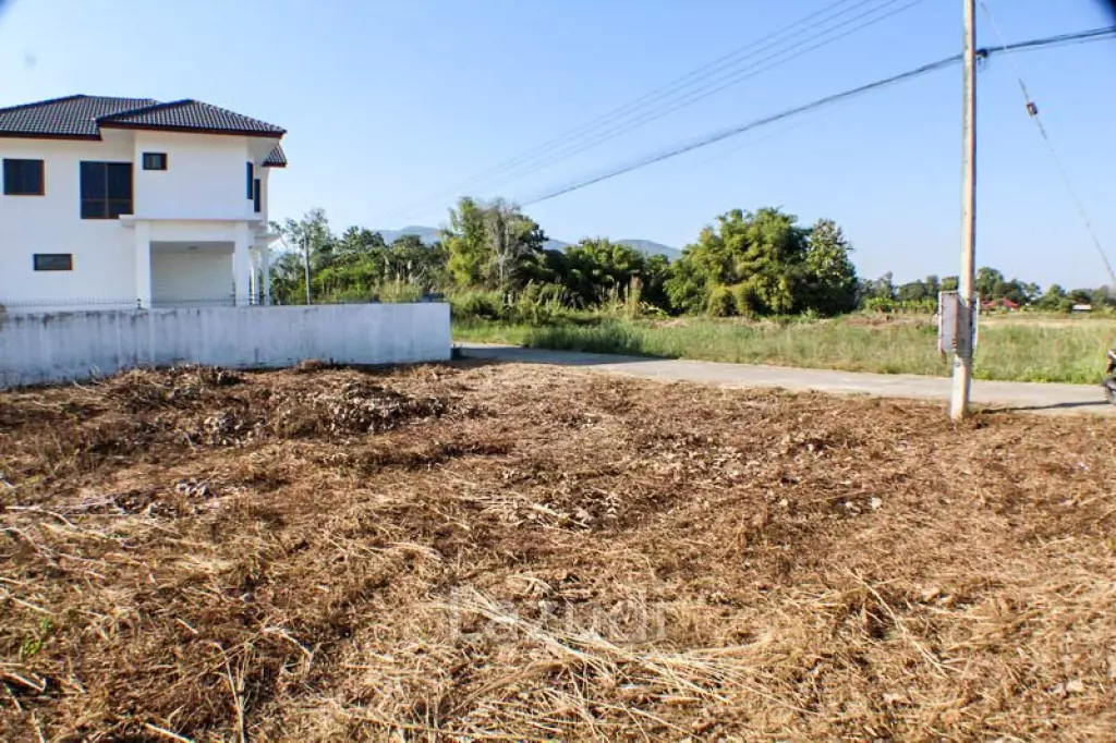 Land for Sale in Mae Fa Luang
