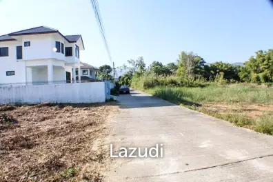 Land for Sale in Mae Fa Luang