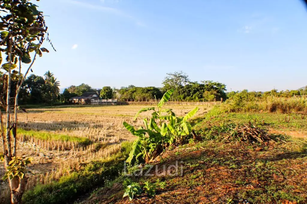 Well located land for for sale 21 Rai