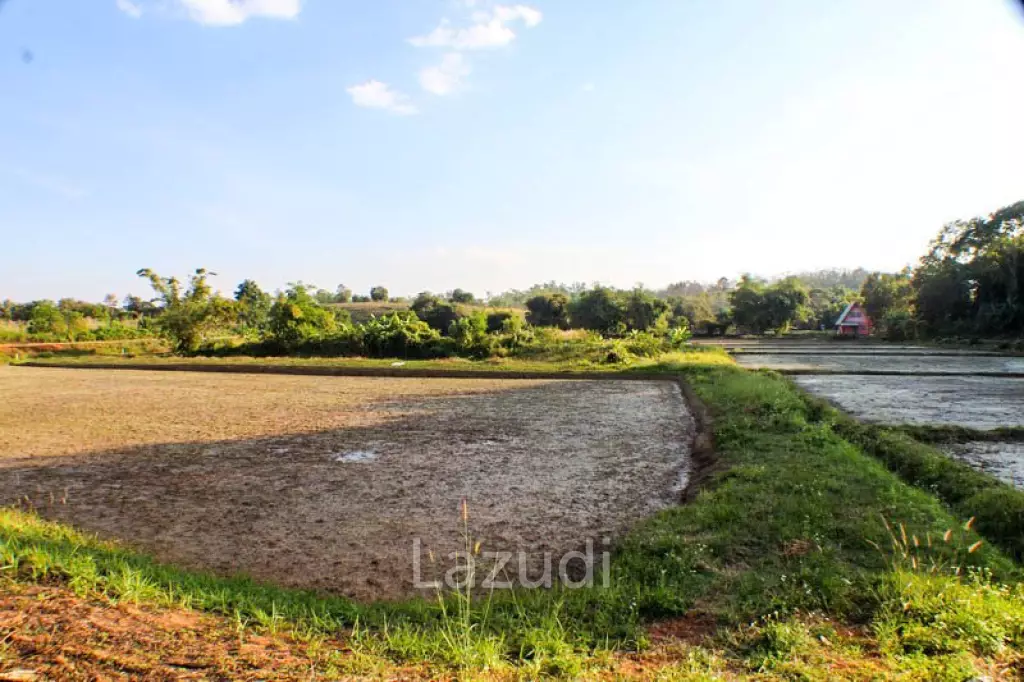 Well located land for for sale 21 Rai