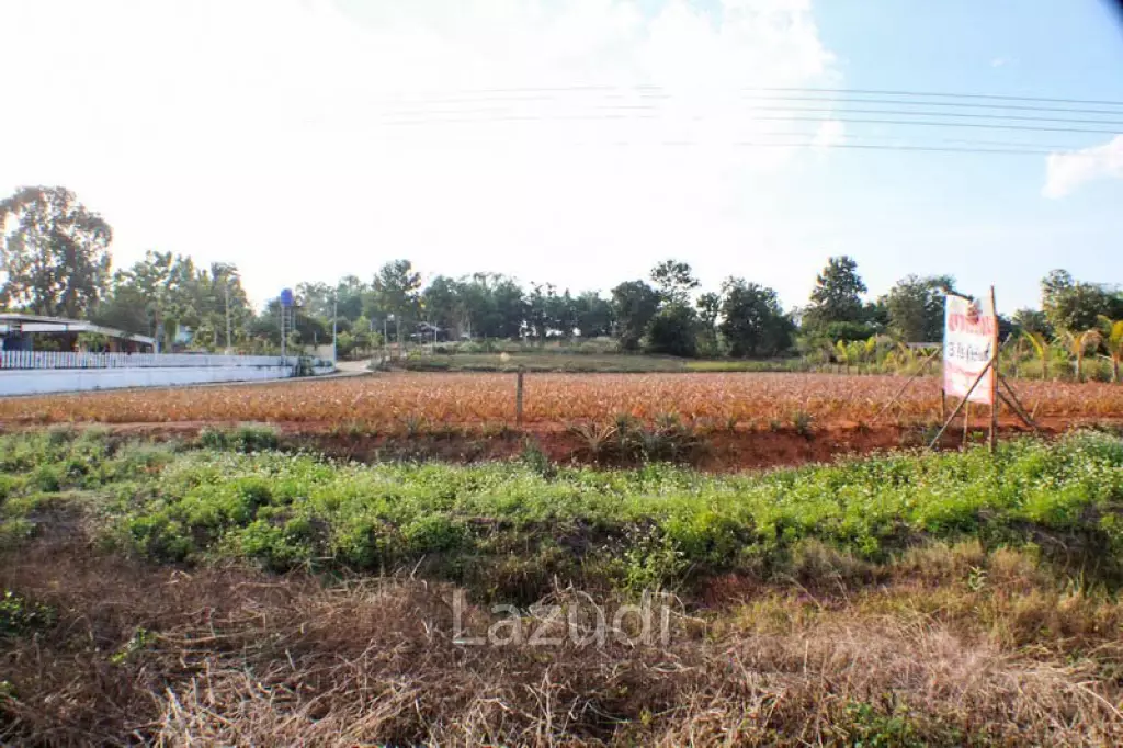 Land for Sale Next to Bypass