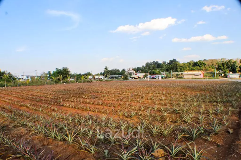 Land for Sale Next to Bypass