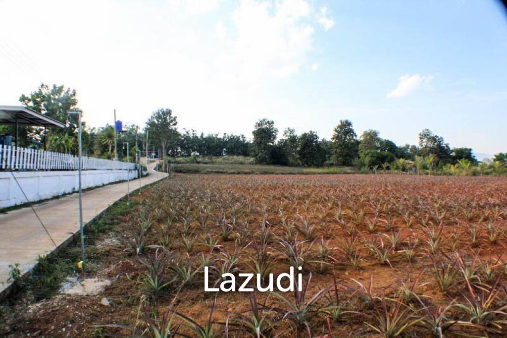 Land for Sale Next to Bypass