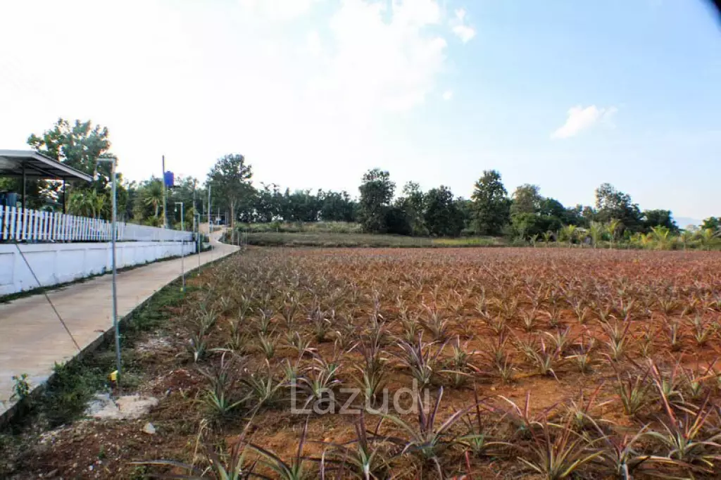 Land for Sale Next to Bypass