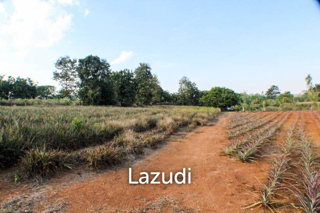 Land for Sale Next to Bypass