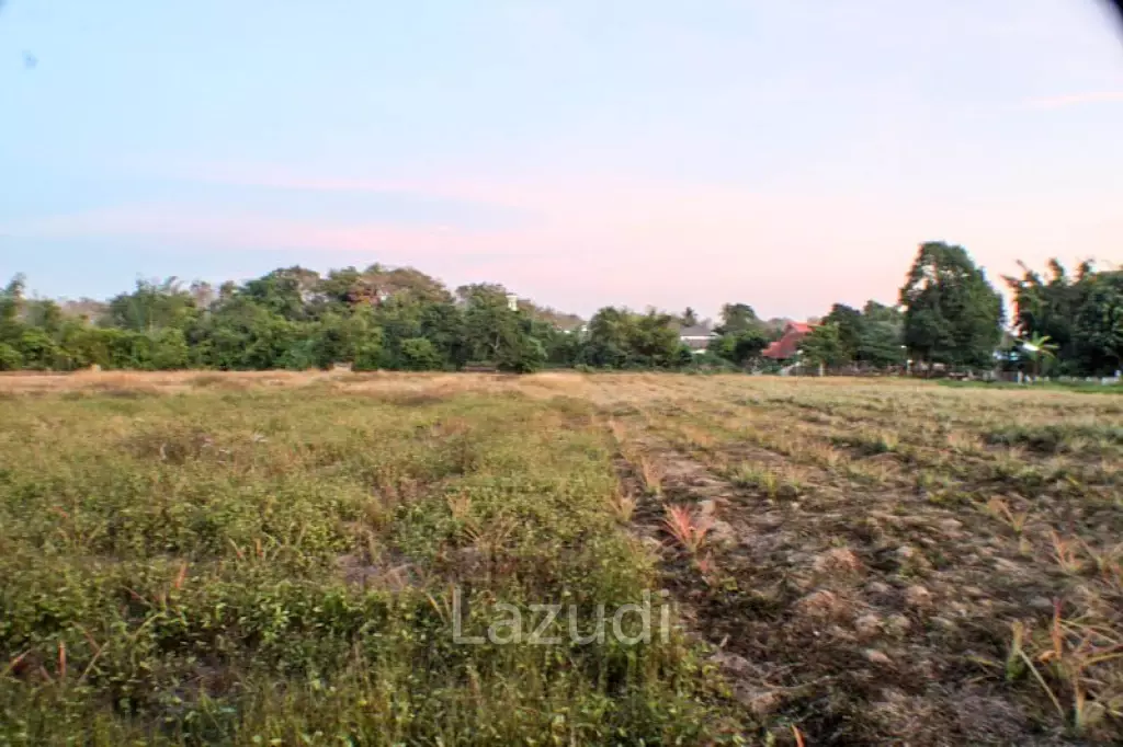 Land for Sale in Good Location