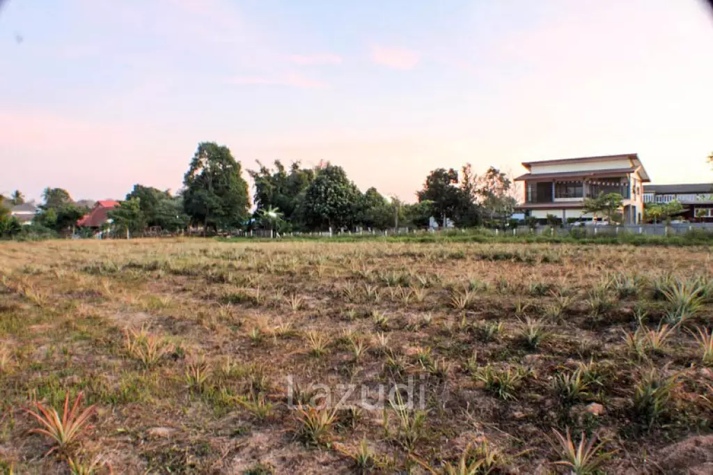 Land for Sale in Good Location