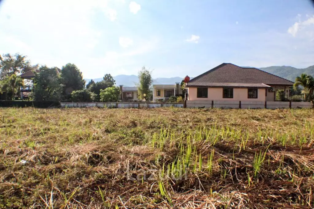Land for Sale good View