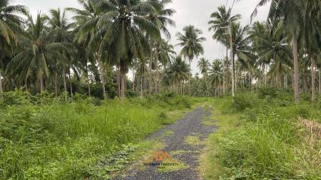 Flat land Meanam soi 7