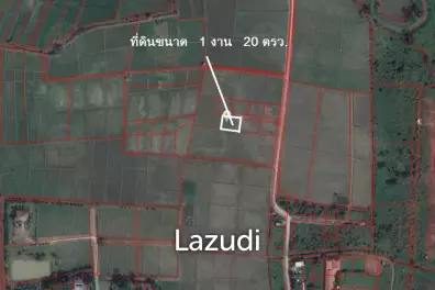 Land for Sale in Chiang Rai