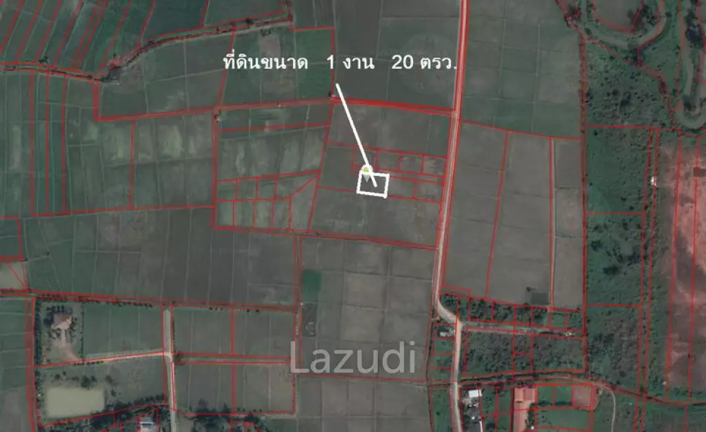 Land for Sale in Chiang Rai