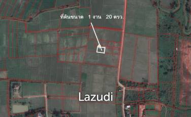 Land for Sale in Chiang Rai