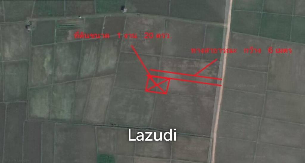 Land for Sale in Chiang Rai