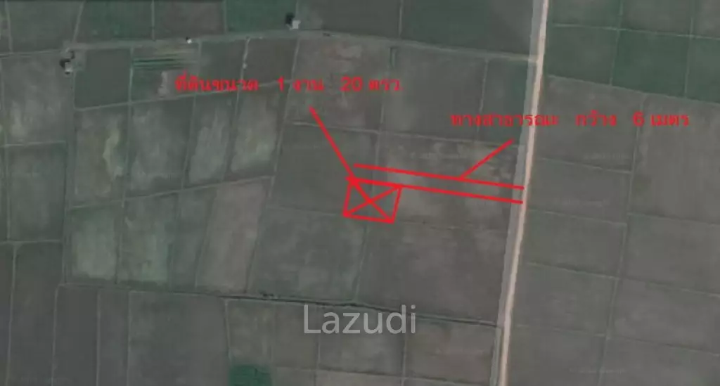 Land for Sale in Chiang Rai
