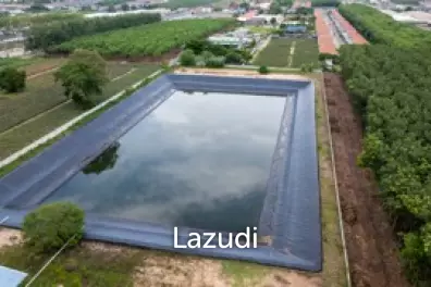 8,000m2 Factory in Rayong's Eastern Economic Corridor (EEC) Yellow Zone