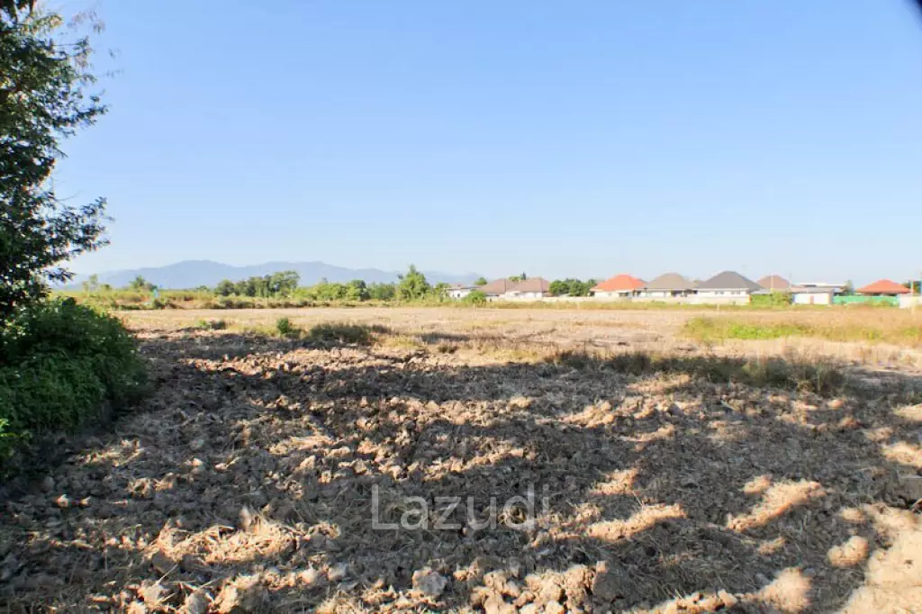 Land for Sale Near the Village