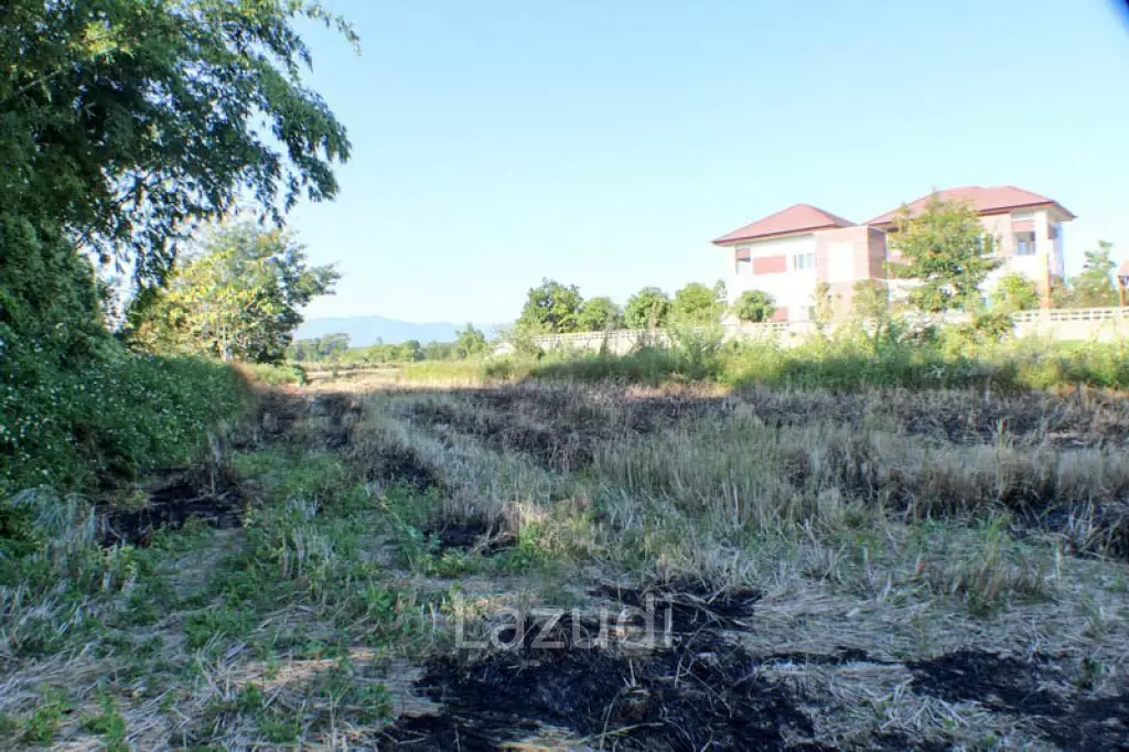 Land for Sale Near the Village
