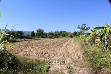 Land for Sale in Doi Hang