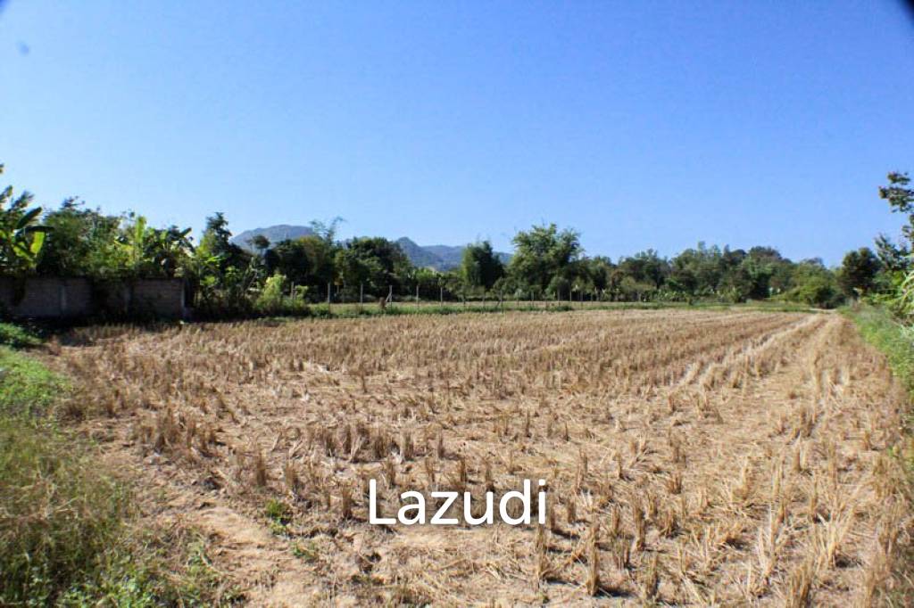 Land for Sale in Doi Hang