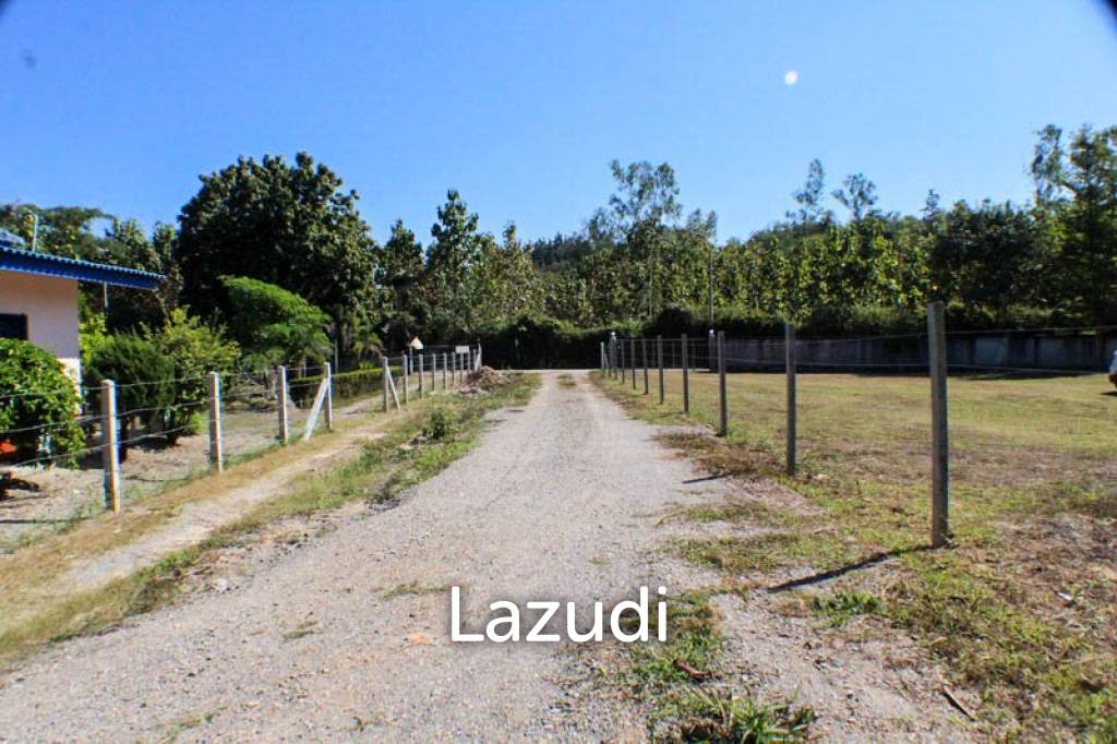 Land for Sale in Doi Hang