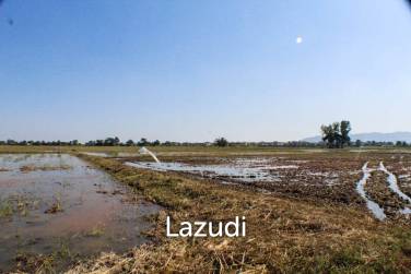 Land for Sale in Chiang Rai Land for Sale in Chiang Rai