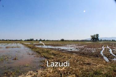 Land for Sale in Chiang Rai